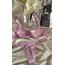 Lila destekli tül bra set