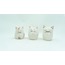 Mini Cats