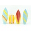 4'lü Surfboard's Set