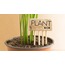Plant Mom