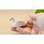 Mini Duck