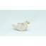 Mini Duck