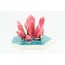 Pink Crystal's Yüzüklük