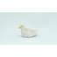 Mini Duck