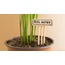 Soilmates