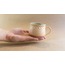 Tatlı Somon Mug