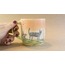 Kedi Cenneti Mug
