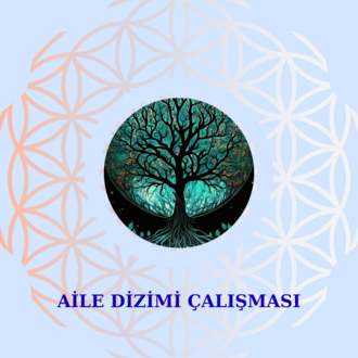 AİLE DİZİMİ ÇALIŞMASI