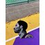 Kobe Rug
