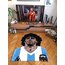 Diego Rug