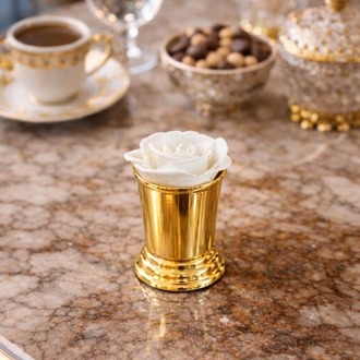 6'lı Gold Kahve Yanı Sunum Kovası- Dekaratif Gül Kovası- Kahve Yanı Sunumluk