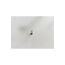 Cerrahi Çelik Yıldız Tek Taş Piercing Tragus 6mm