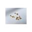 Kadın Cerrahi Çelik Gold Renkli Yıldız Tragus Piercing Kıkırdak