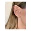 Kadın Silver Renkli Yaprak Tragus Kıkırdak Piercing