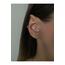 Kadın Halka Kelebek Kıkırdak Tragus Piercing