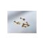 Kadın Gold Renkli Minimal Taşlı Yıldız Tragus Piercing