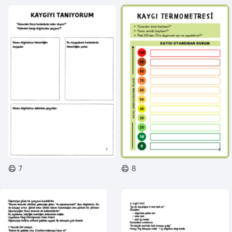 SINAV KAYGISI ETK. KİTAPÇIĞI (ORTAOKUL)