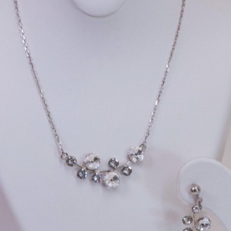 Branch of Silver Stones Seti