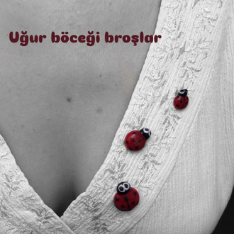 Uğur böceği broş.