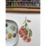 Nar Fine Art Poster (A4)