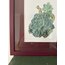 Echeveria Çerçeveli Poster