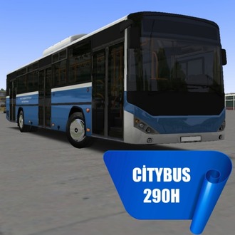 Citybus 290H