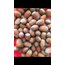 2 KG SİVRİ FINDIK