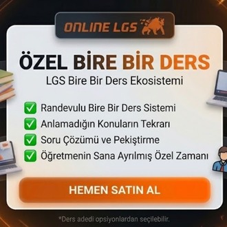 Online LGS - Özel Bire Bir Ders