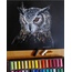Baykuş soft pastel çalışması