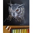 Baykuş soft pastel çalışması