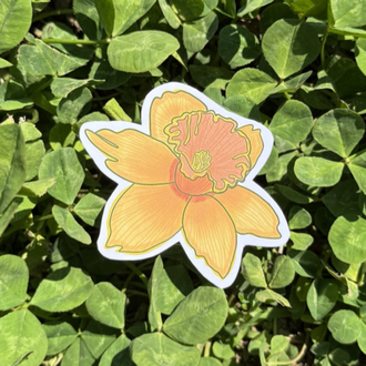 Sarı Nergis Sticker