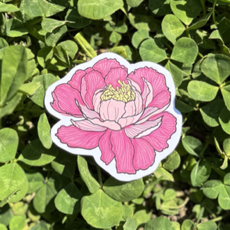 Pembe Şakayık Sticker