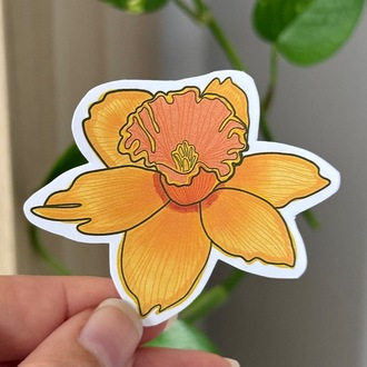 Sarı Nergis Sticker