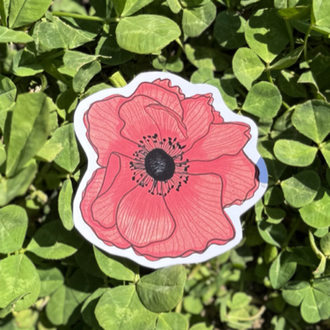 Kırmızı Gelincik Sticker