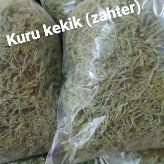 100 Gr Kuru zahter (kekik)