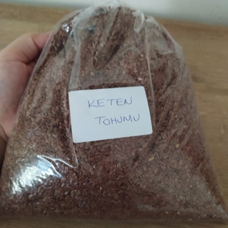 KETEN tohumu 
