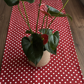 Red Polka Love Runner