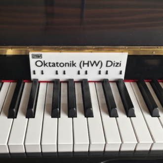 Ottava Dizi Plakaları - Başlangıç Seviye Dizi Plaka Seti (2'li)