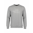 TNF Light Big Logo Sweatshirt - Gri