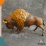 Buffalo Figürü