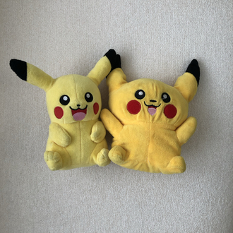Pokemon Dev Set