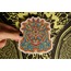 Circle Sticker Pack 