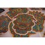 Circle Sticker Pack 