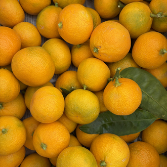 MANDALİNA 1 KG