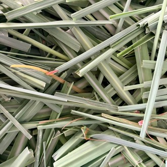 LİMON OTU 20 GR (Lemon Grass)