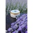 Lavanta Koltukaltı Krem Deodorant (50 ml)