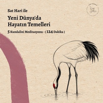 Yeni Dünya'da Hayatın Temelleri
