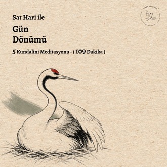 Sat Hari ile Gün Dönümü