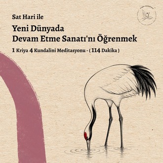 Yeni Dünyada Devam Etme Sanatı'nı Öğrenmek