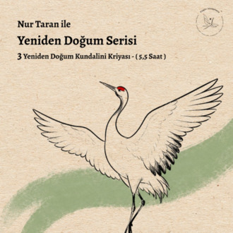 Yeniden Doğum Tüm Seanslar
